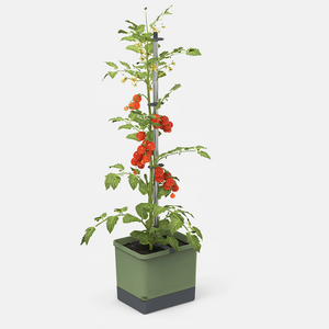 Tom Tomato - tomatenpot met waterreservoir & klimsteun