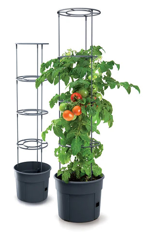 Pot de culture pour tomates avec support de croissance 12 litres (choisir la quantité) 