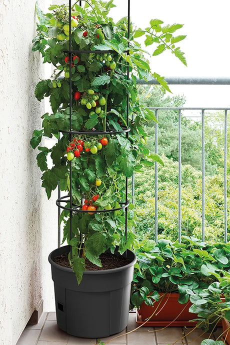 Pot de culture pour tomates avec support de croissance 28L