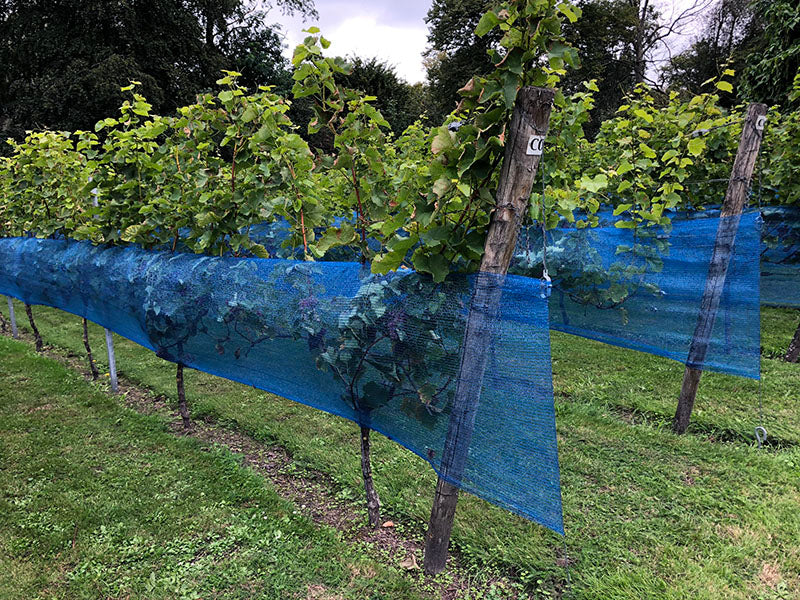 Filet viticole VINEA pour vigne 90 cm (longueur au choix) contre le soleil et les oiseaux