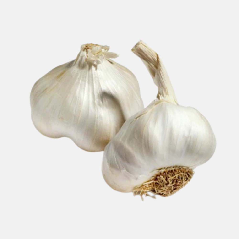 BIO Plante violette Ail Morado (hardneck) (choisir la quantité)