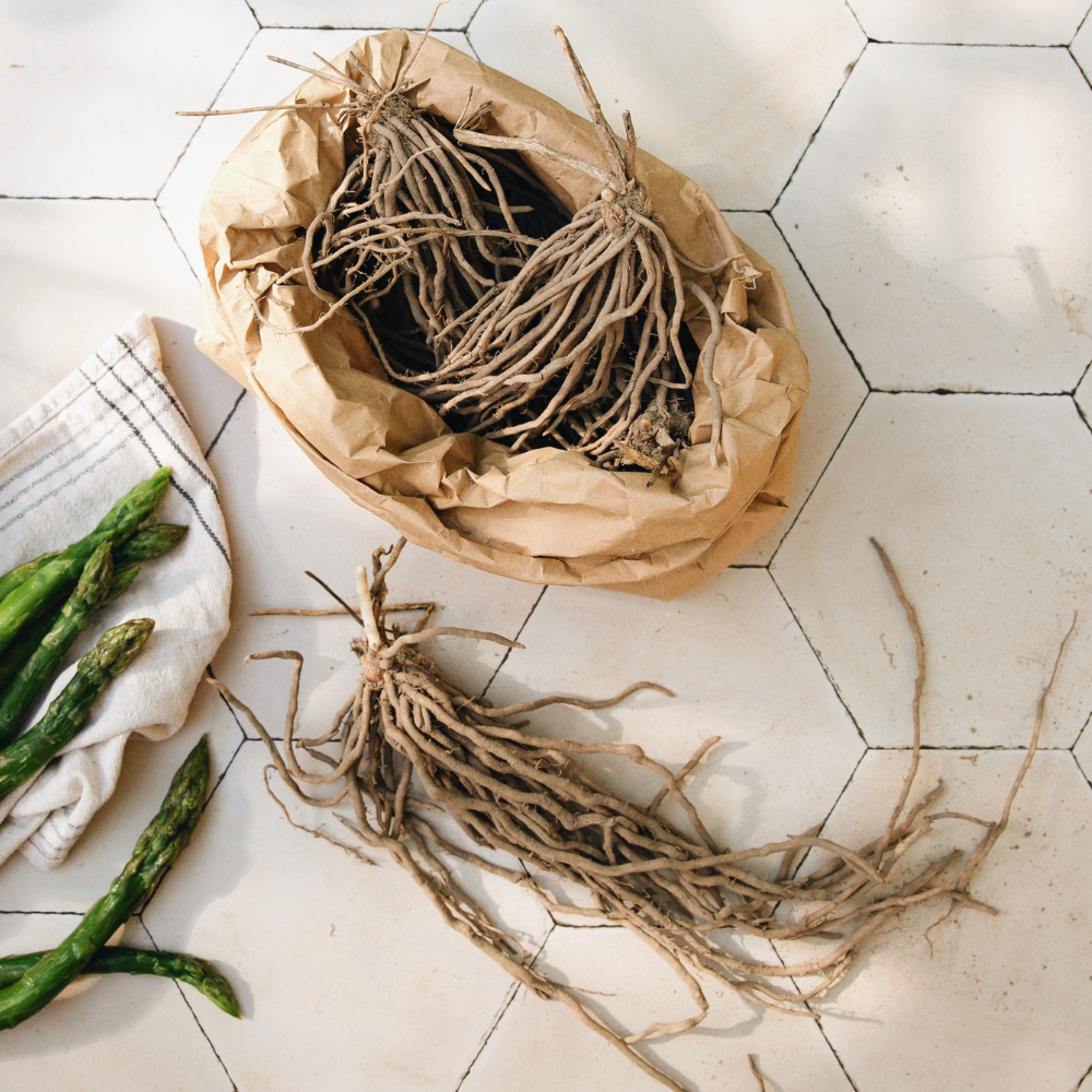 Witte en groene asperge 'Prius' BIO