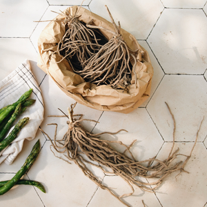 Witte en groene asperge 'Prius' BIO