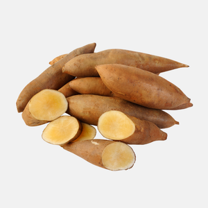 Tubercules de sélection de racines de yacon ou de pomme BIO