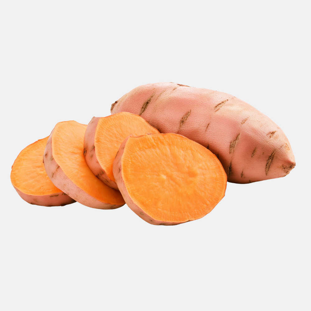 Oranje zoete aardappel knol 'Indosweet' - 1 stuk