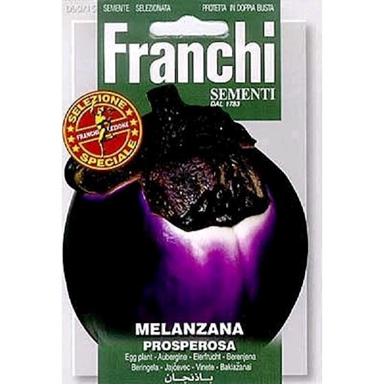 Aubergine. Melanzana Prosperosa 90/15 (Franchi)