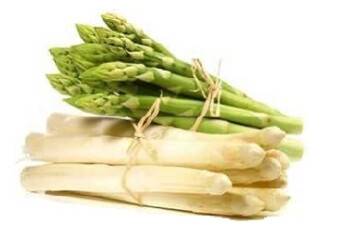 Plant d'asperges Gijnlim taille A70+ pour la culture d'asperges vertes et blanches