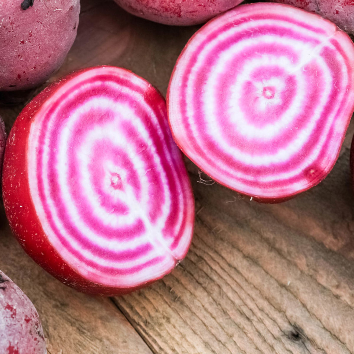 Graines de Betterave Chioggia BIO