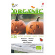 buzzy organic jack o lantern