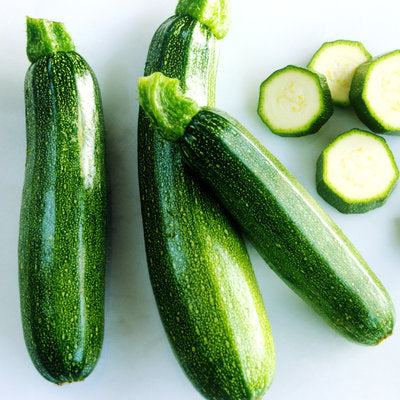 Zucchini grün lang im Topf 1 Pflanze