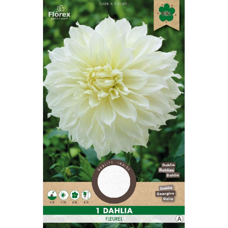 Assiette Décorative Dahlia Fleurel Blanc 1er.