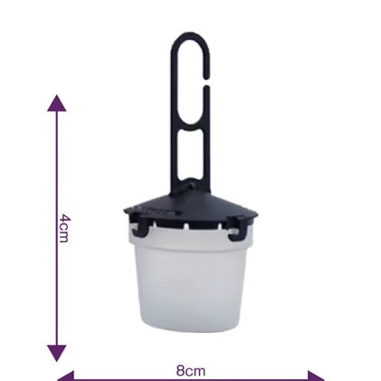 Droso Suzukii 5 vallen - Drosophila Suzukii