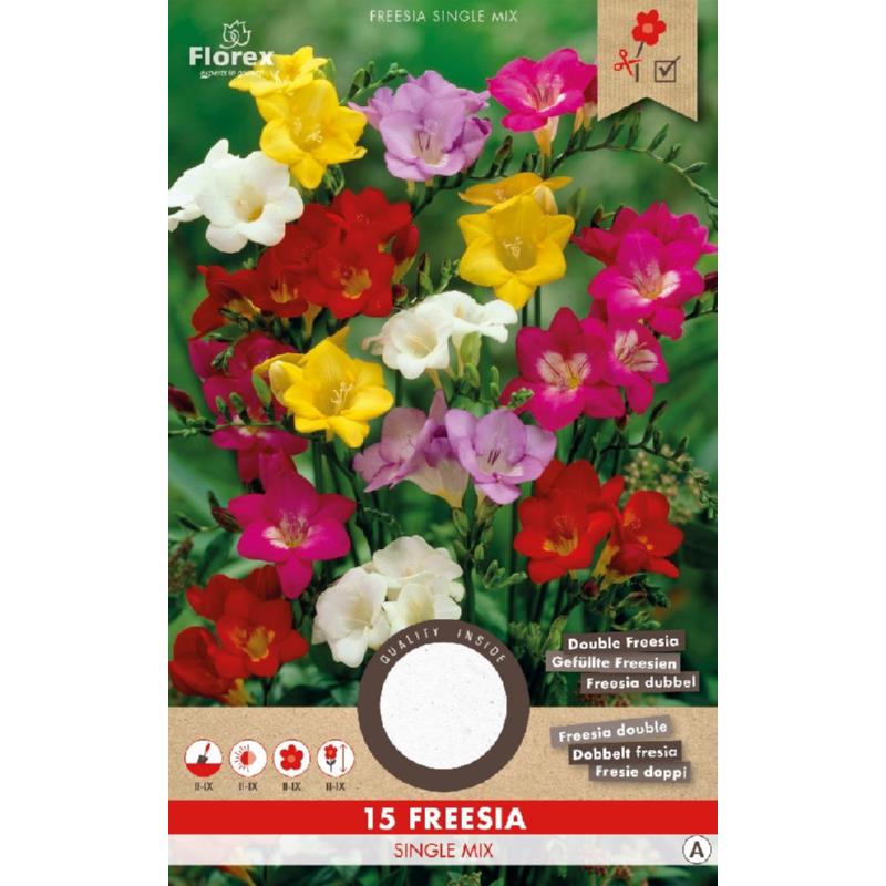 Freesia Enkel Mix 5/6 15st.