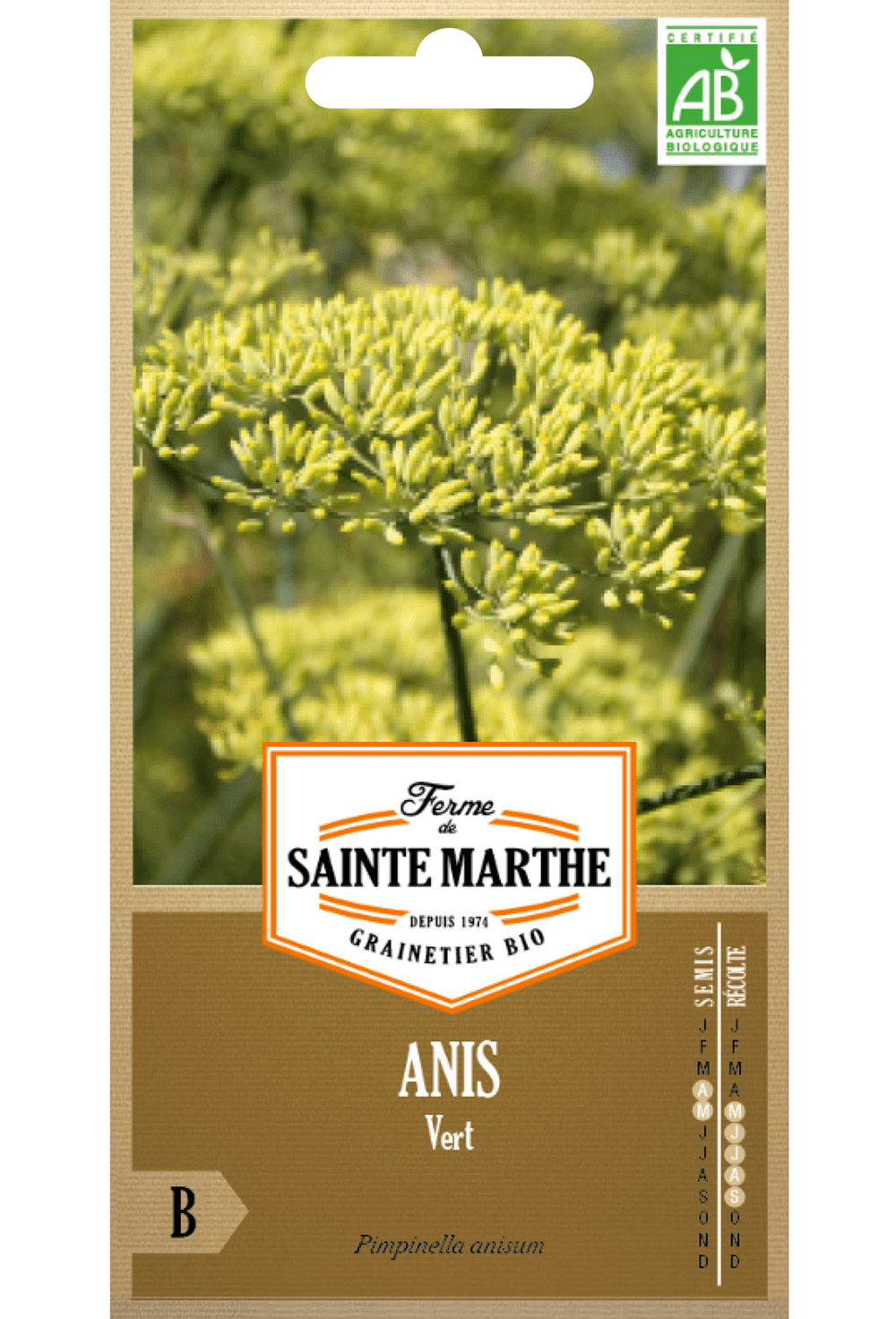 Graines d'Anis vert BIO