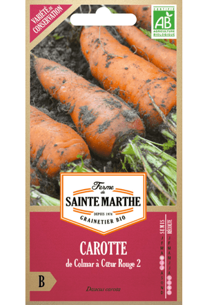 Graines de Carotte Colmar BIO