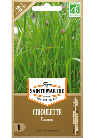 Graines de Ciboulette BIO