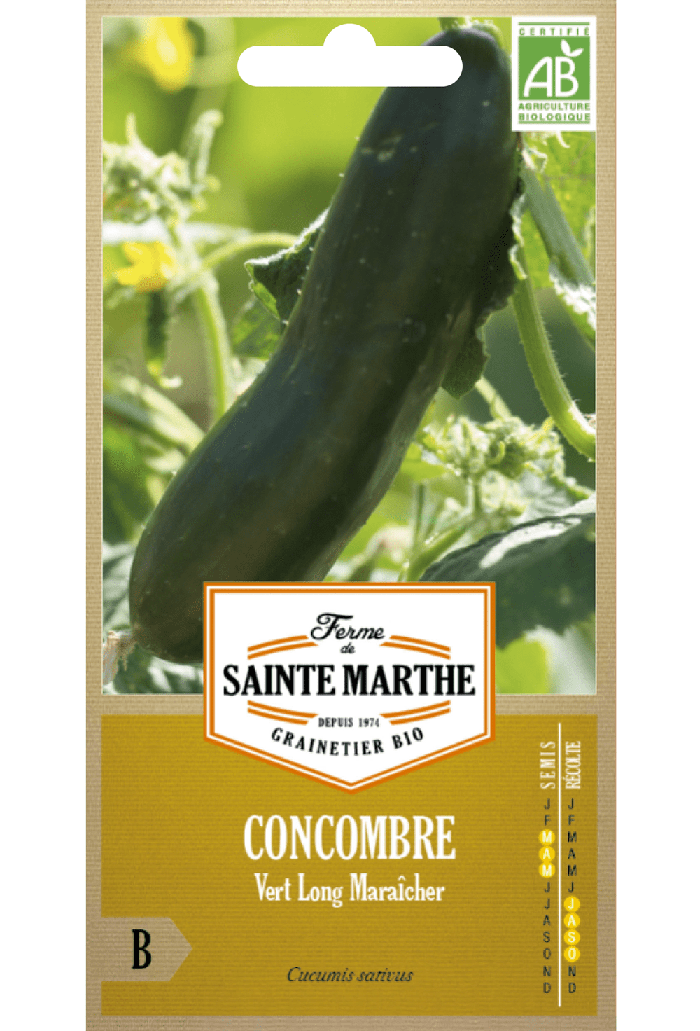 Concombre 'Long Maraîcher' Graines Bio