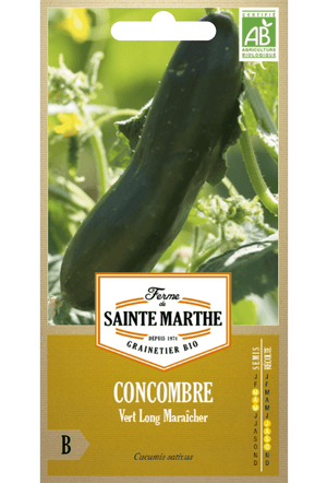 Concombre 'Long Maraîcher' Graines Bio