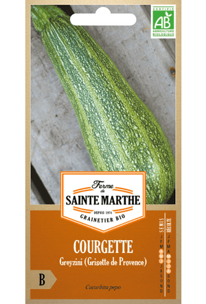 Graines de Courgette Greyzini BIO