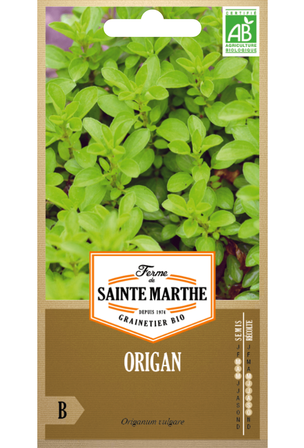 Oregano BIO zaden