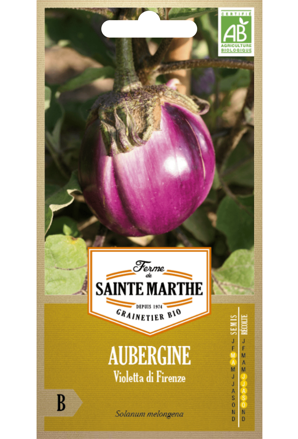 Aubergine 'Violetta di Firenze' Graines biologiques