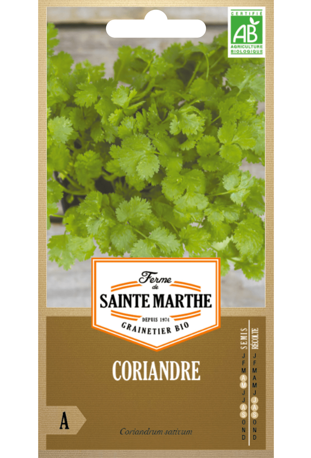 Graines de Coriandre BIO