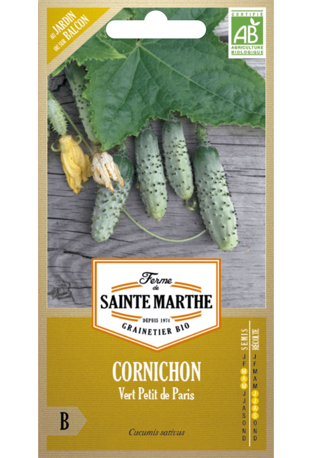 Cornichon 'Petit de Paris' Graines Bio