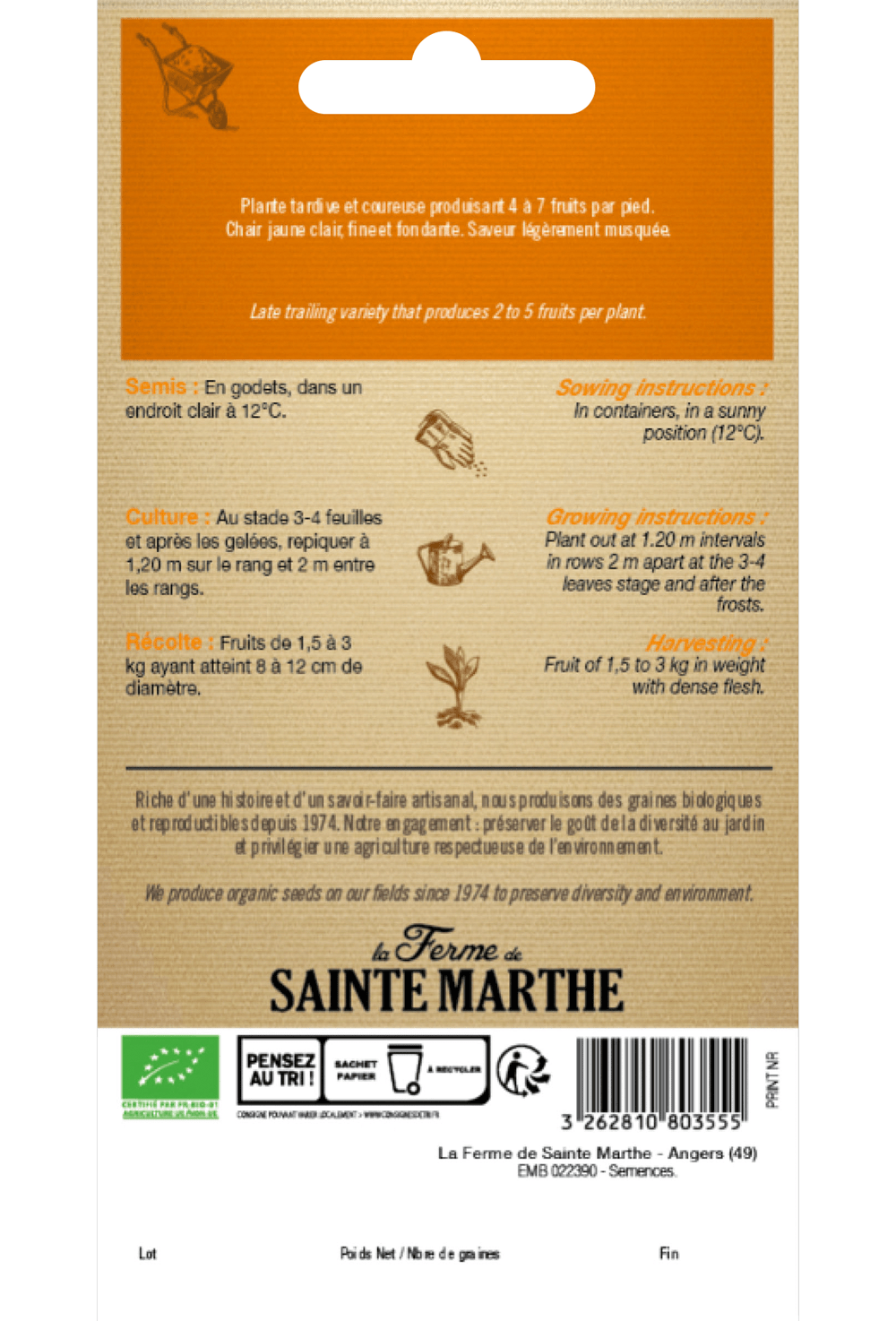 Graines de Citrouille 'Butternut' BIO