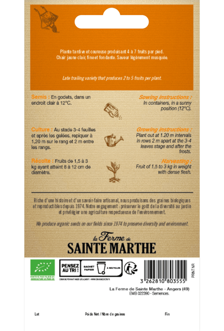 Graines de Citrouille 'Butternut' BIO