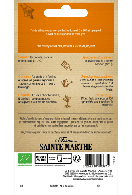 Graines de Citrouille 'Jack Be Little' BIO