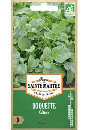 Roquette - Roquette 'Cultivata' graines BIO