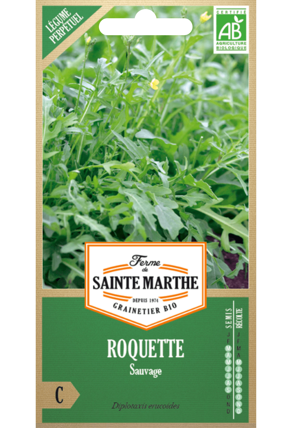 Roquette - roquette 'Sauvage' graines BIO