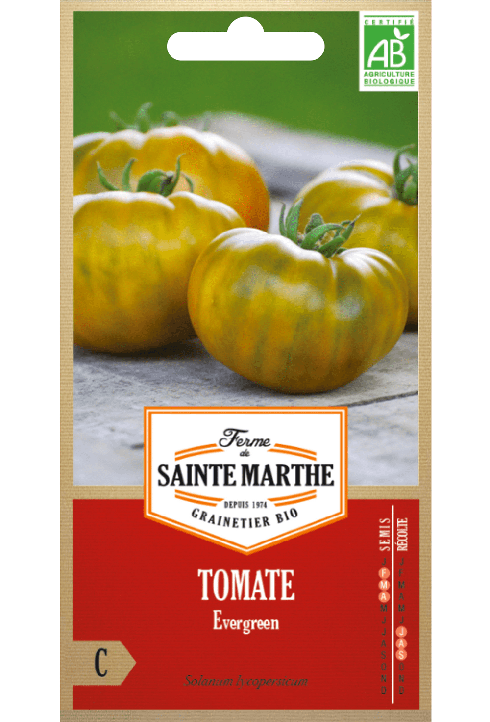 Graines de Tomate Evergreen BIO