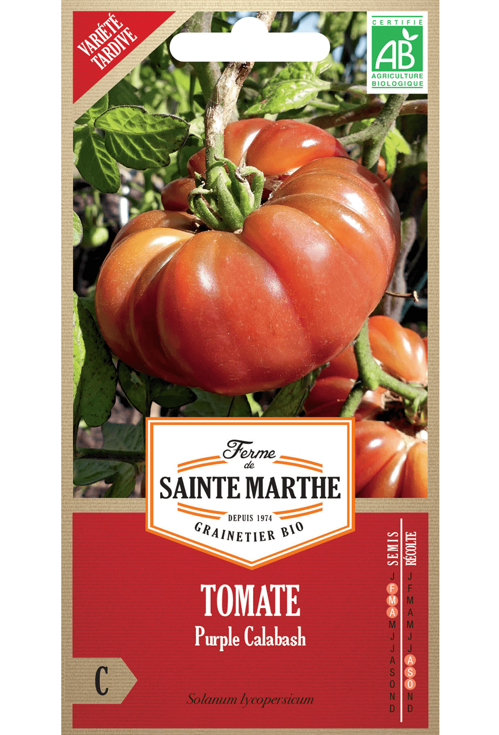 Tomate Purple Calabash BIO-Samen (frühe Sorte)