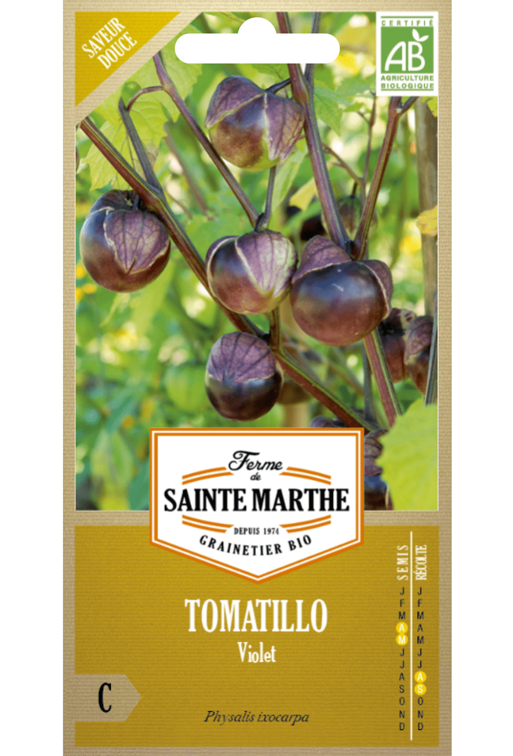 Graines de Tomatille ou Cresson 'Violet' (Physalis ixocarpa) BIO