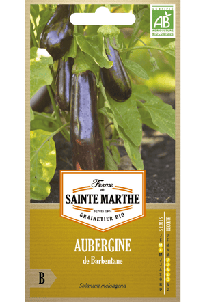 Aubergine 'Barbentane' Bio-Samen