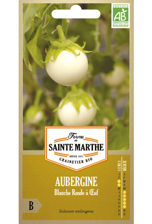 Aubergine pour pot 'BLANCHE RONDE A OEUFS' Graines Bio