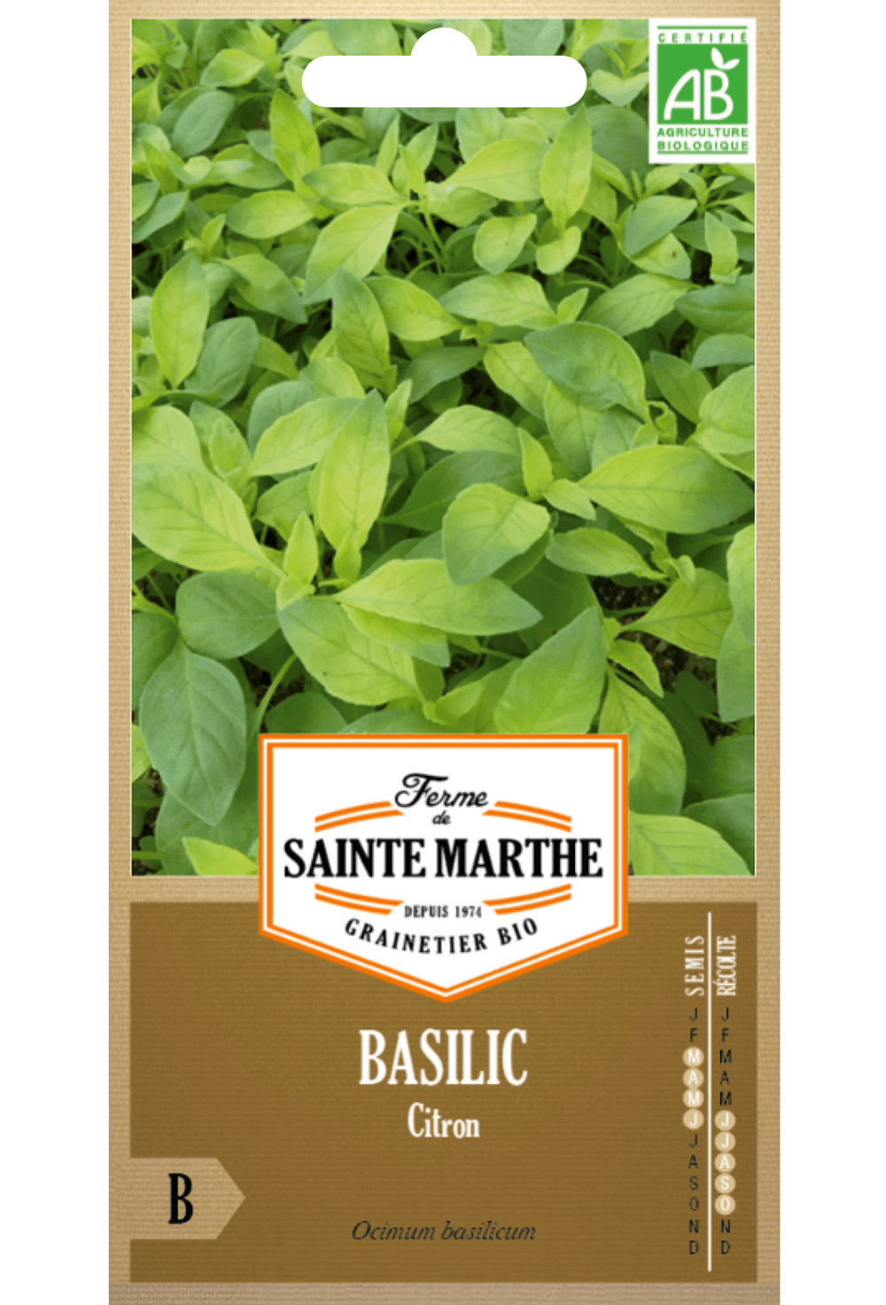 Graines BIO de Basilic Citron