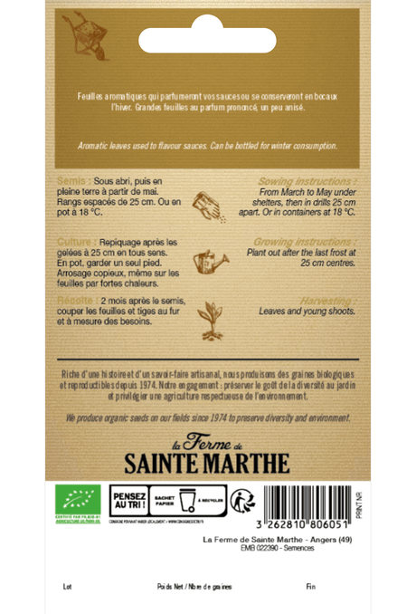 Graines BIO de Basilic à grandes feuilles