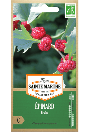 Graines BIO fraise épinards