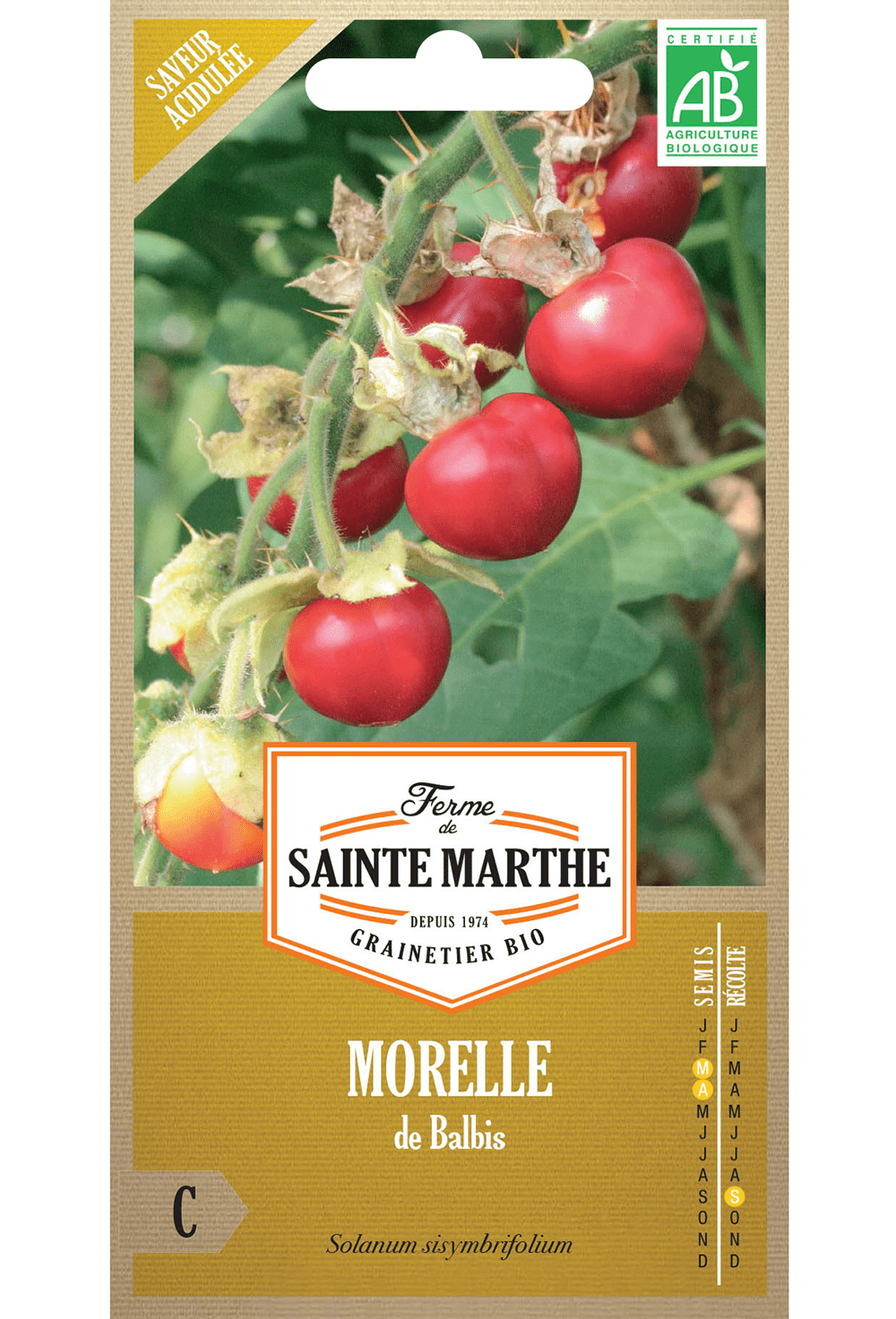 Litschi-Tomate 'Morelle de Balbis' (Solanum sisymbrifolium) Bio-Samen