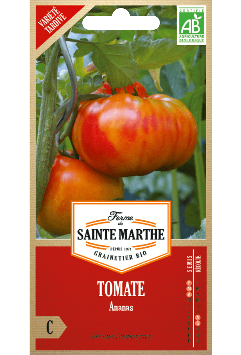 Graines de Tomate 'Ananas' BIO (variété précoce)