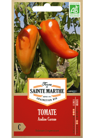 Graines de Tomate 'Andine Conrue Des Andes' BIO