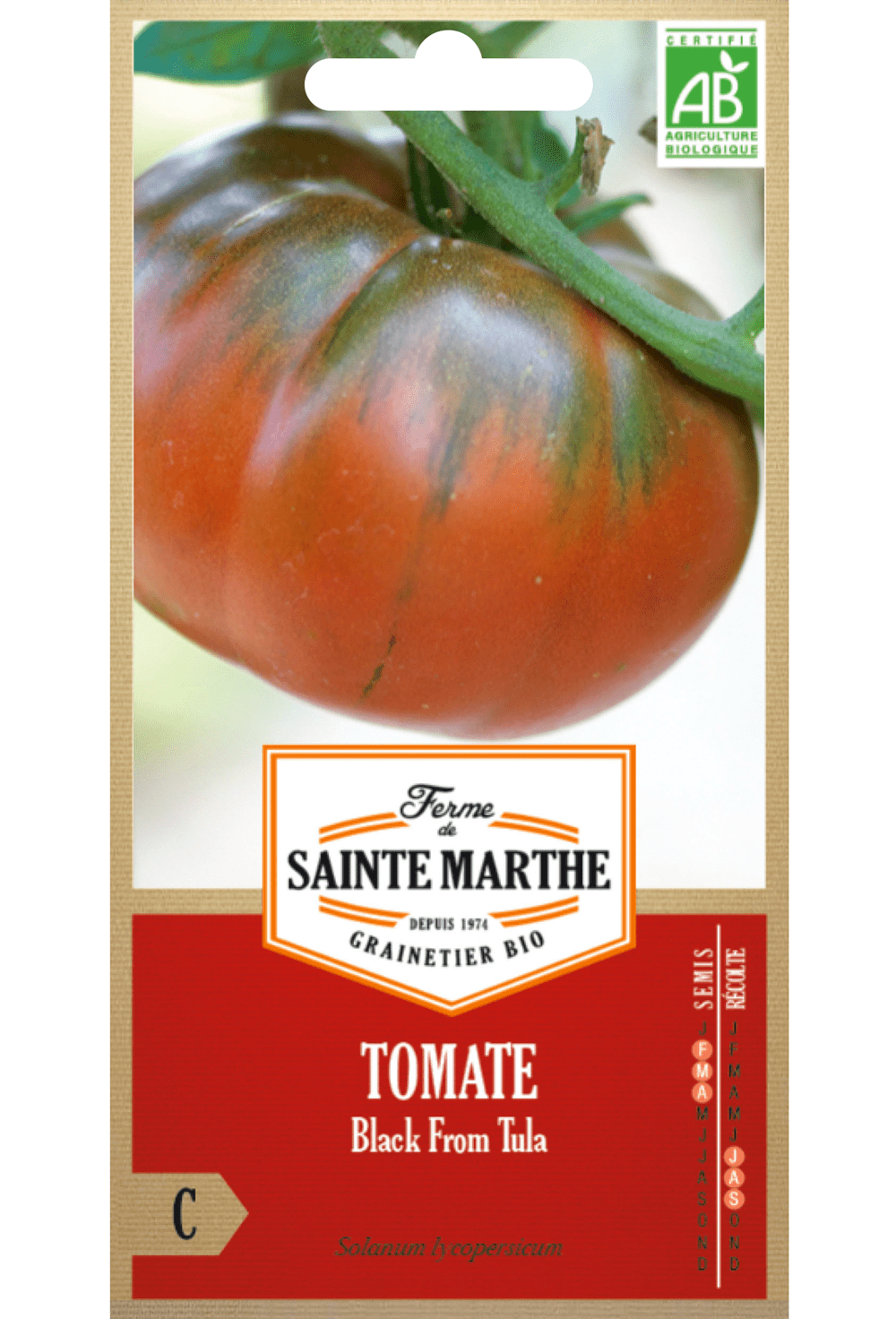 Graines de Tomate 'Black From Tula' BIO