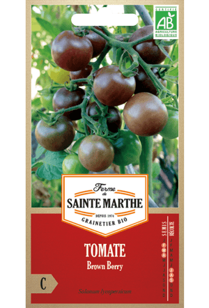 BIO-Samen der Tomate Brown Berry