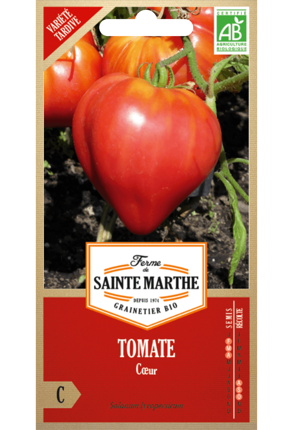 Semences de Tomate Cœur BIO (variété précoce)