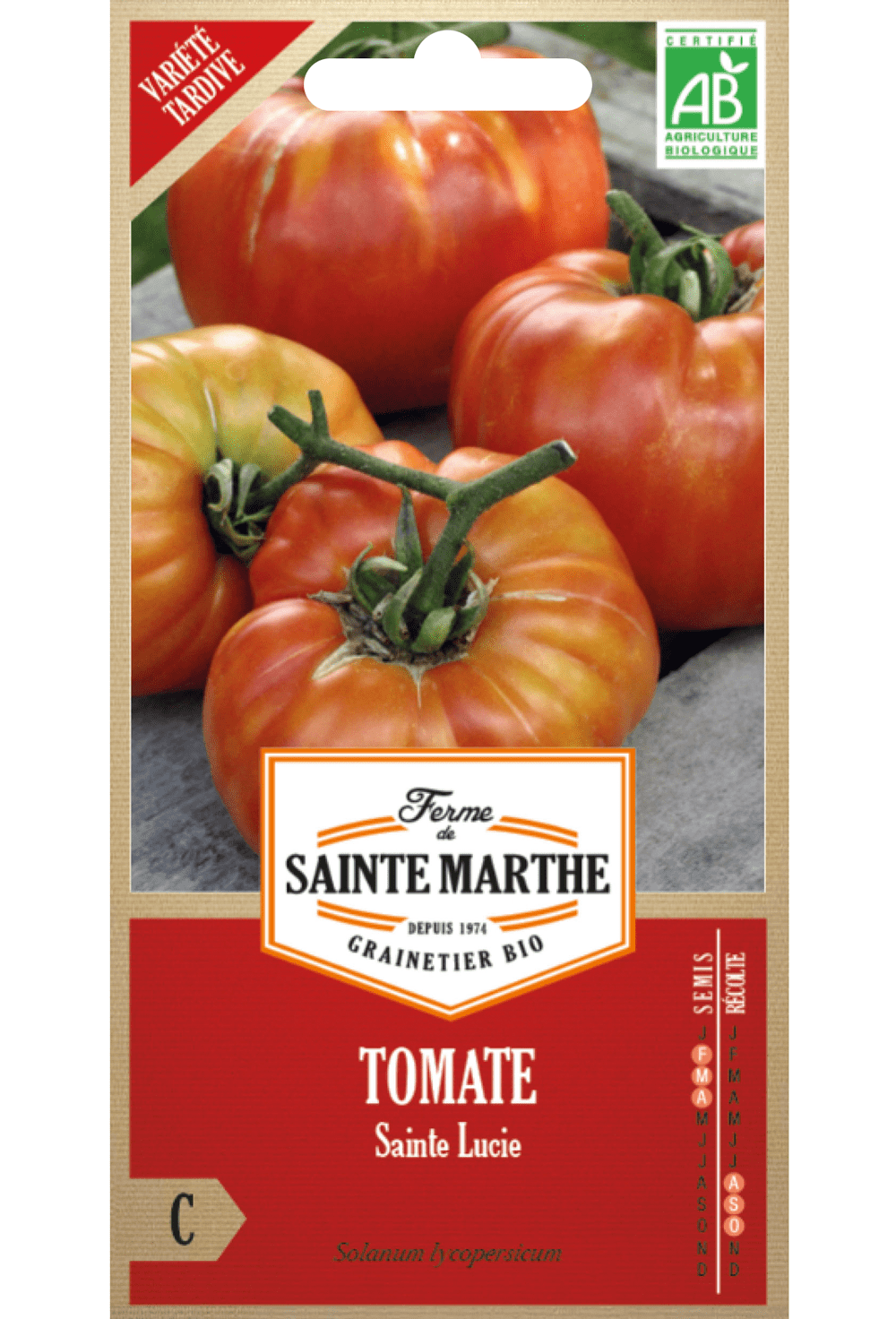 Semences de Tomate Sainte Lucie BIO (variété précoce)