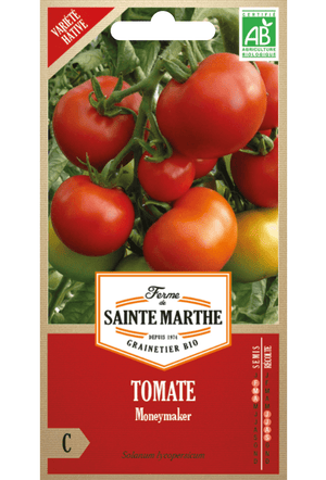 Graines de Tomate Moneymaker BIO (variété précoce)