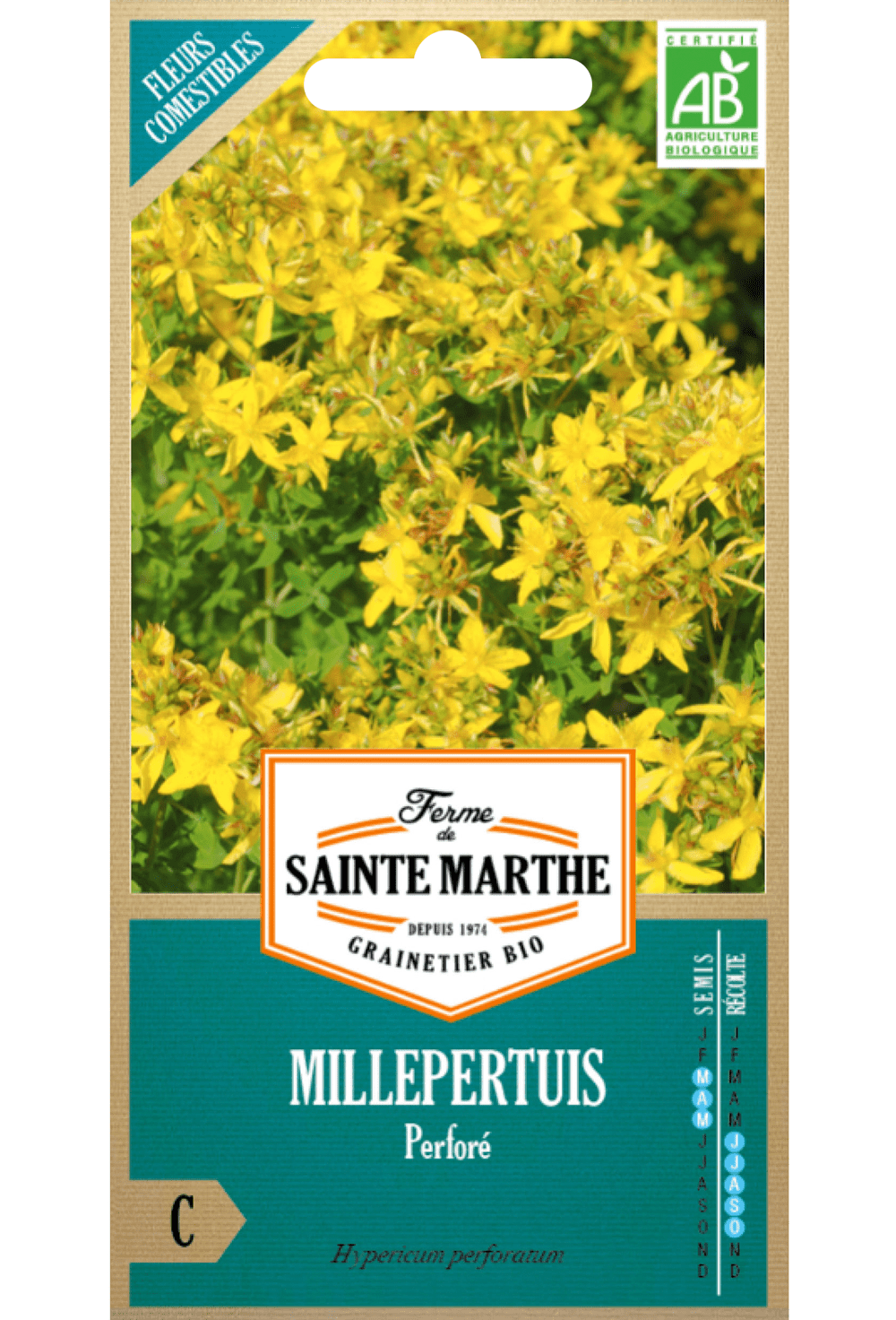 Johanniskraut (Hypericum perforatum L.) BIO-SAMEN