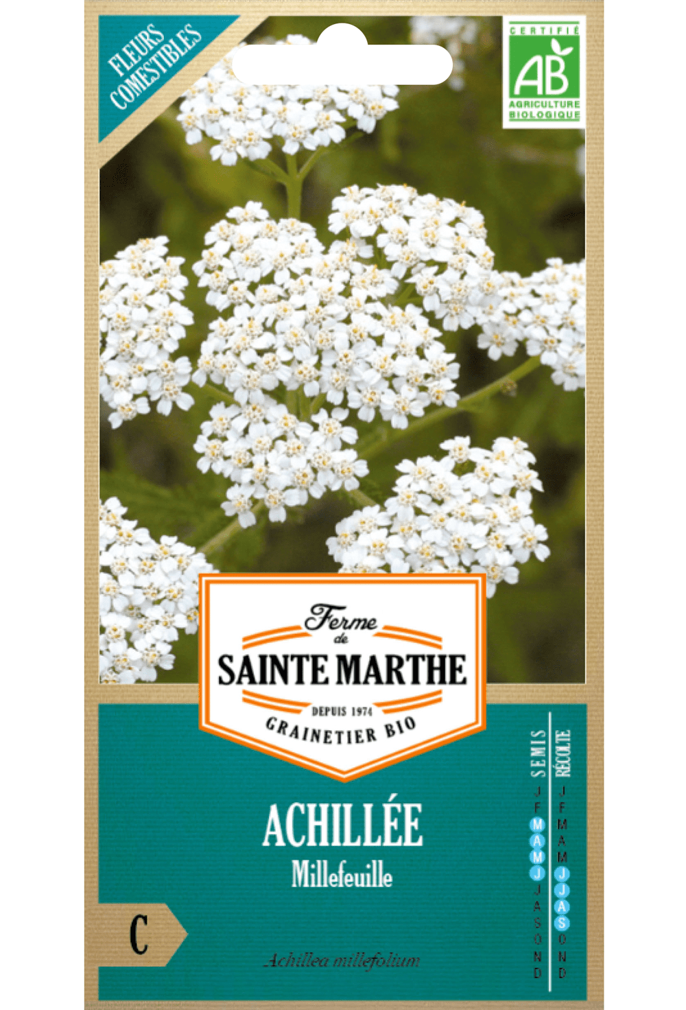 Graines d'achillée millefeuille (Achillea millefolium) BIO